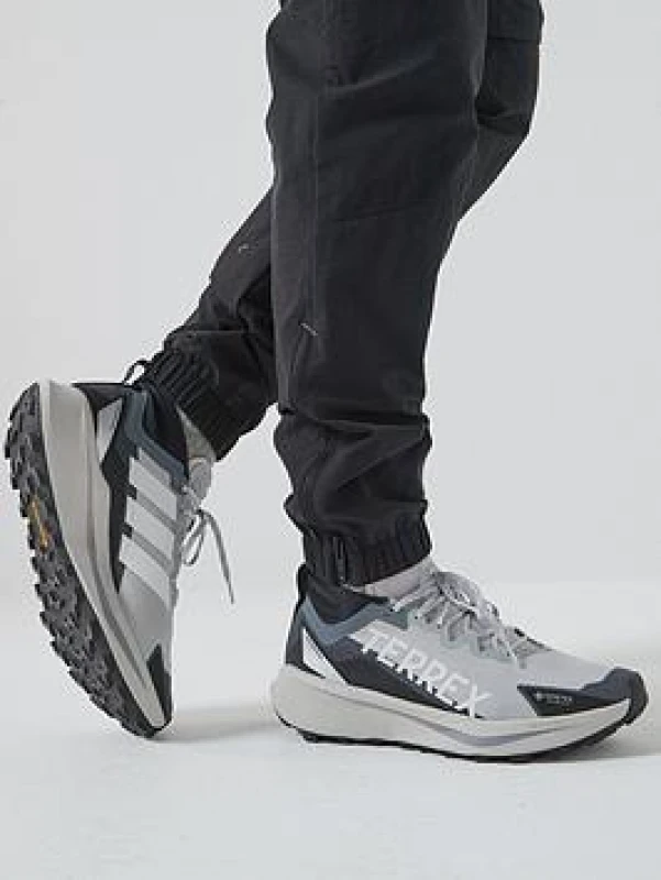 Image of Trail running shoes adidas Terrex Agravic GTX Gris Male 46