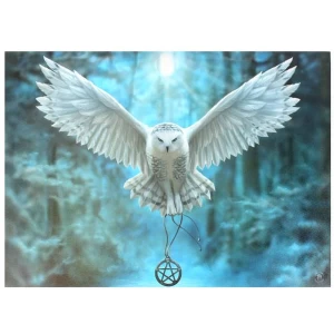 Image of Large Awake Your Magic Canvas Picture by Anne Stokes