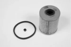 Image of Champion CFF100255 Fuel Filter Insert L255