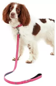 Image of Joules Pink Leather Dog Collar Lead