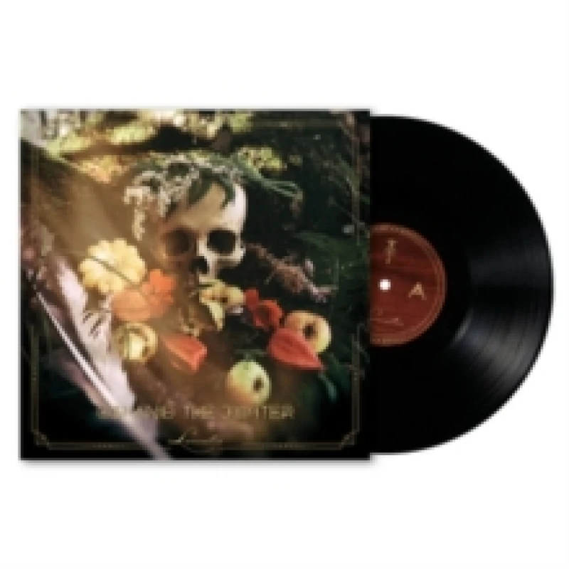 Image of Larvatus Vinyl