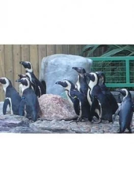 Image of Virgin Experience Days Paradise Wildlife Park Animal Adoption