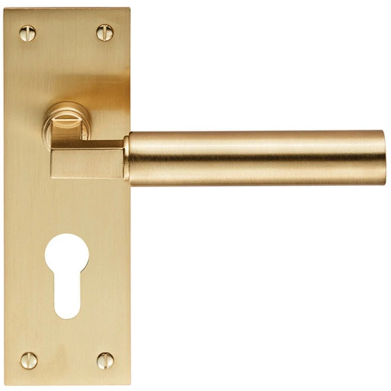 Image of Loops PAIR Round Bar Handle on Slim Euro Lock Backplate 150 x 50mm Satin Brass Metallics