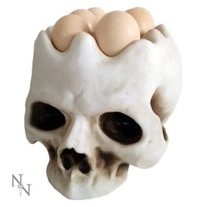 Image of Egg Head Skull