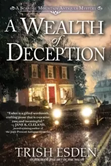 Image of A Wealth Of Deception