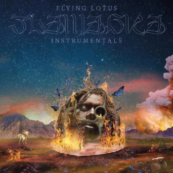 Image of Flying Lotus - Flamagra Instrumentals Vinyl
