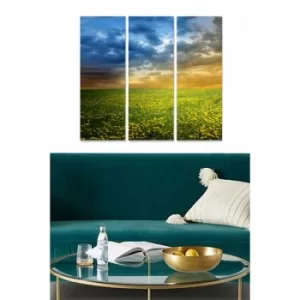 Image of MDF79640191 Multicolor Decorative MDF Painting (3 Pieces)
