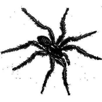 Image of Various Artists - Tarantismo Odyssey Of An Ital Vinyl