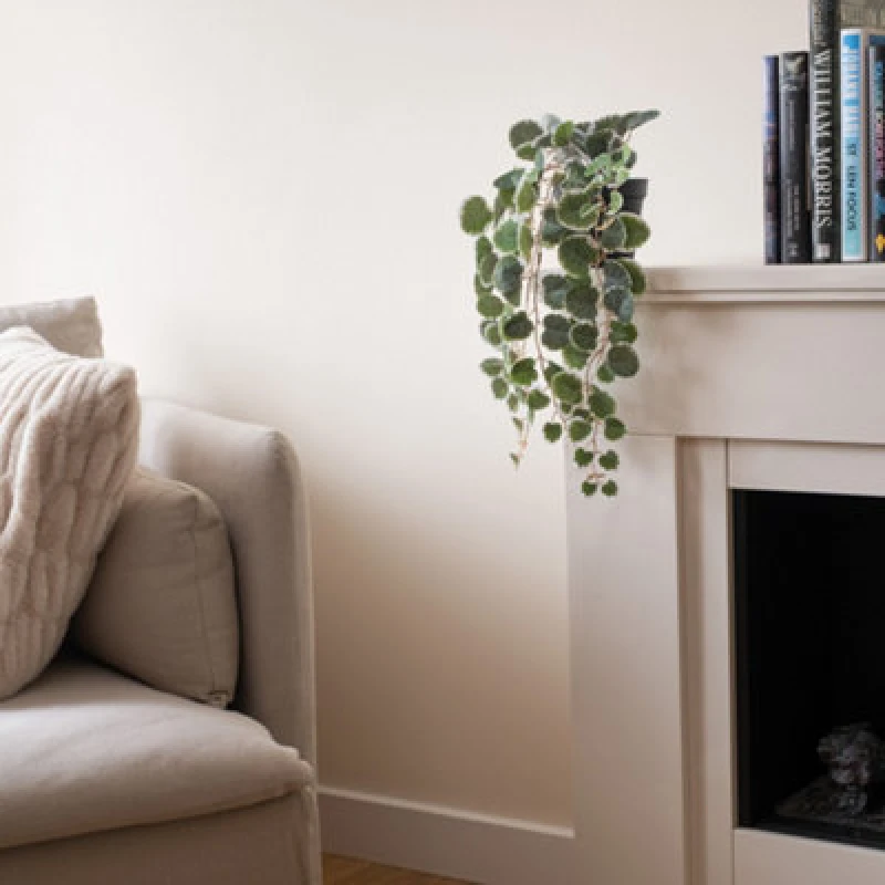 Image of Scottish Everlastings Ltd. Scottish Everlastings 40Cm Artificial Real Touch String Of Hearts