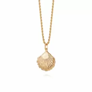 Image of Daisy London Jewellery 18ct Gold Plated Sterling Silver Isla Large Shell Necklace 18Ct Gold Plate