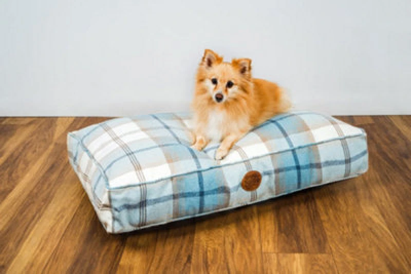 Image of Snug & Cosy Pets Snug And Cosy Highland Bluebell Lounger 120Cm X 75Cm