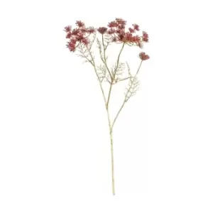 Image of Crossland Grove Allium Spray Russet Red 730Mm