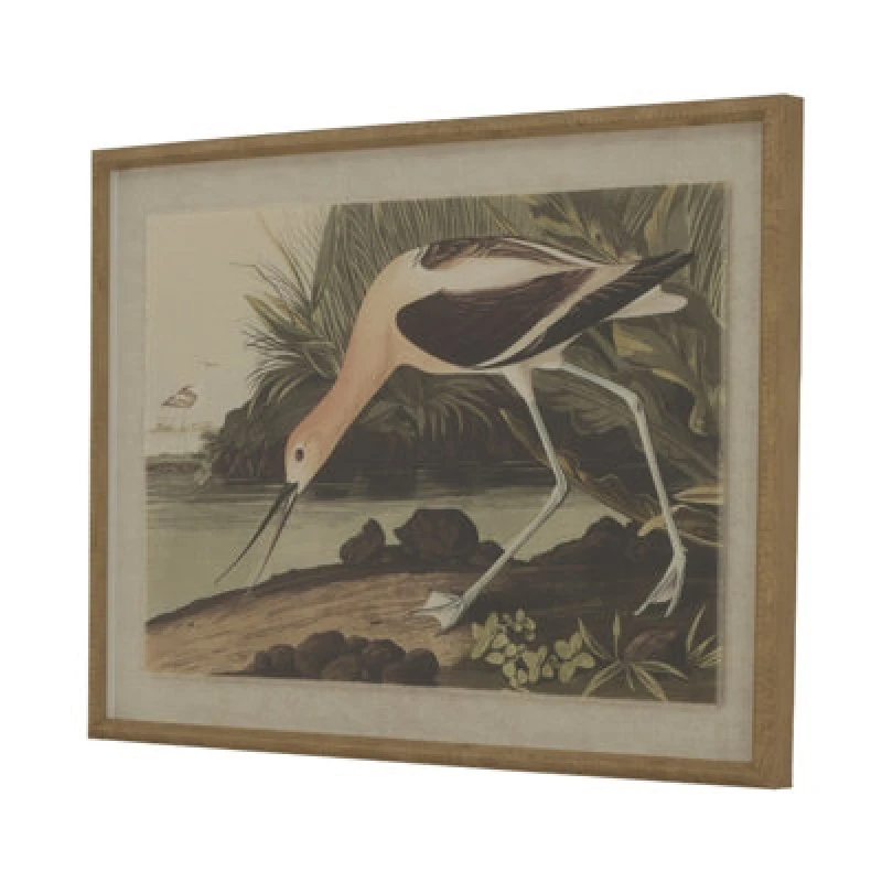 Image of Flora & Fauna Collection Avocet On Linen In Beaded Frame