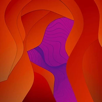 Image of Deniz Cuylan - No Such Thing As Free Will Vinyl