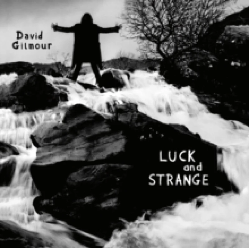 Image of David Gilmour Luck And Strange - Vinyl LP Black