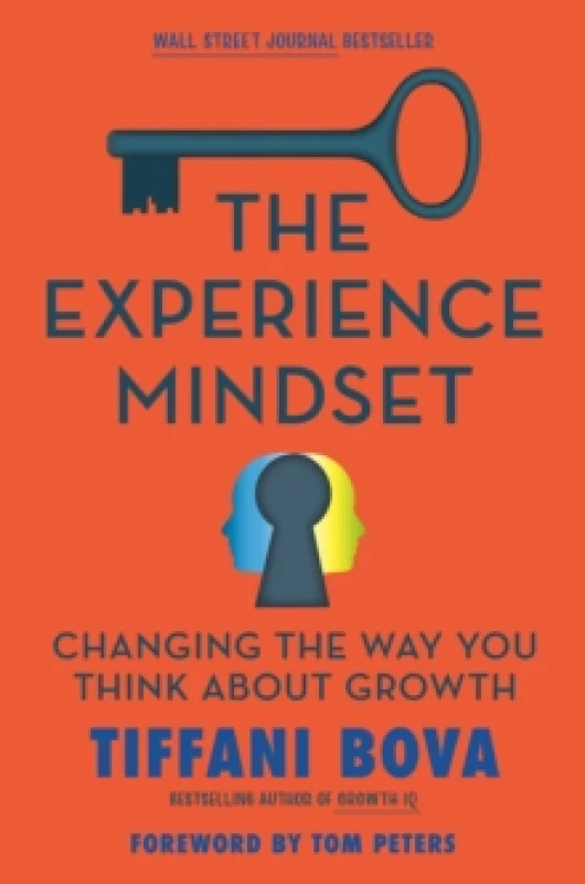 Image of The Experience Mindset. Hardback. By Tiffani Bova Books