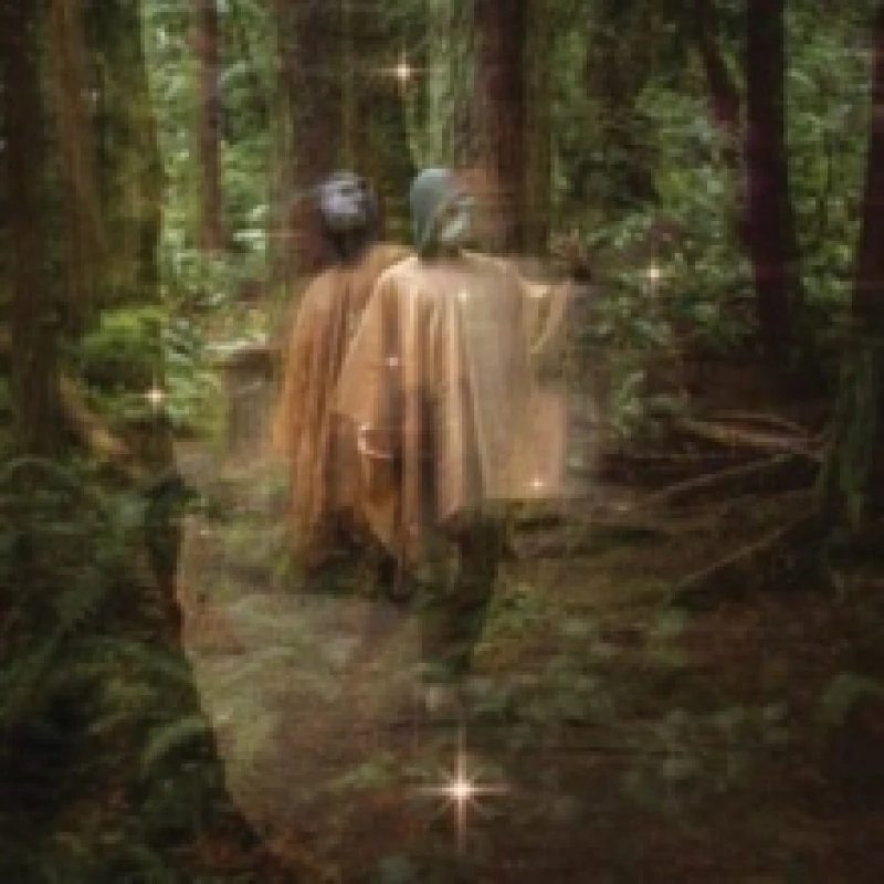 Image of Forastero Vinyl