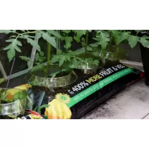 Image of Thompson & Morgan Thompson and Morgan Incredicrop Grow Bag - 2 unit