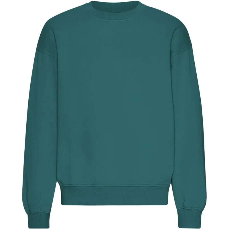 Image of Colorful Standard Colorful Standard Organic Ocean Green Oversized Crewneck Sweatshirt Vert Unisex L