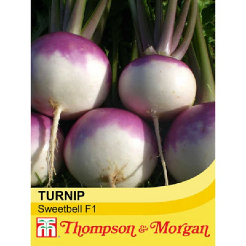Image of Thompson & Morgan Turnip Sweetbell (Sc9-303) F1 Hybrid 1 Seed Packet (100 Seeds)