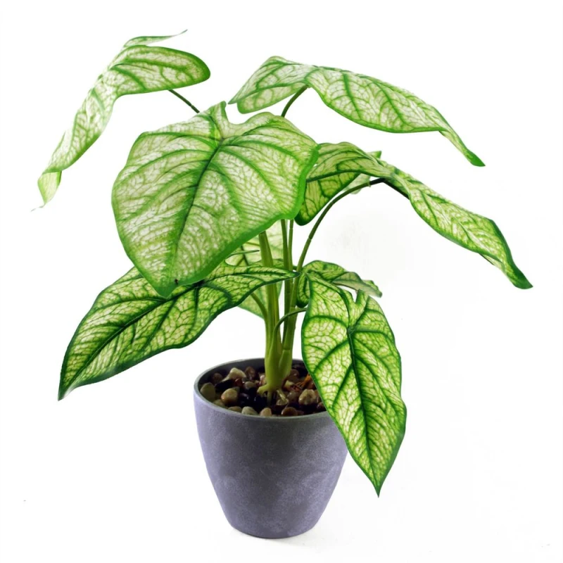Image of Leaf 40cm Artificial Taro in Decorative Planter Green