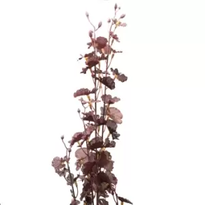 Image of Deep Purple Dancing Orchid Stem