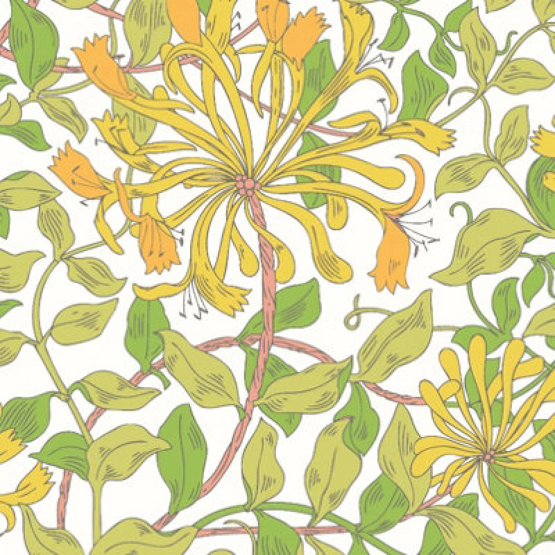 Image of Hoopla Walls Honeysuckle Leaf Trail Sunshine Yellow Smooth Matt Wallpaper