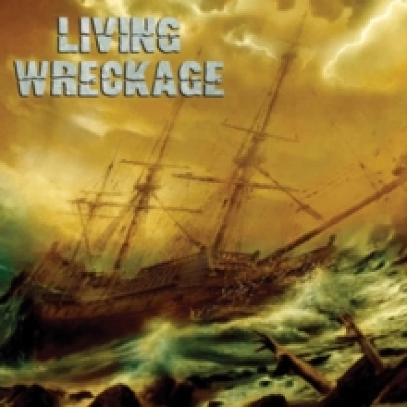 Image of Living wreckage Vinyl
