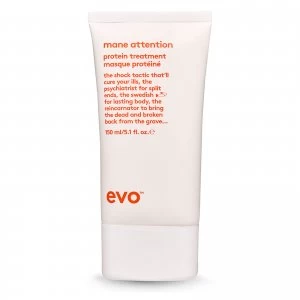 Image of evo Mane Attention Protein Treatment 150ml