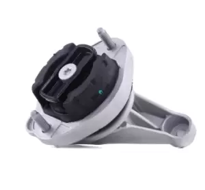 Image of REINHOCH Mounting, manual transmission Rear RH12-0018 AUDI,A4 Avant (8ED, B7),A4 Avant (8E5, B6),A4 Limousine (8E2, B6),A4 Limousine (8EC, B7)