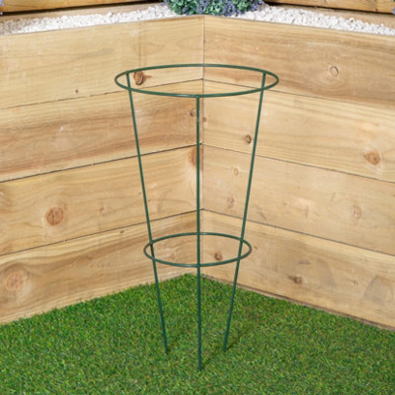 Image of Samuel Alexander Tom Chambers Urban Green Conical Garden Plant Support Ring 30Cm Medium