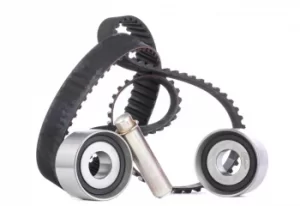 Image of GATES Timing Belt Kit RENAULT,FIAT,OPEL K025495XS 71754844,71773323 Cam Belt Kit,Timing Belt Kit