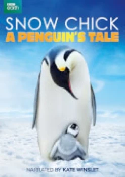 Image of Snow Chick: A Penguins Tale