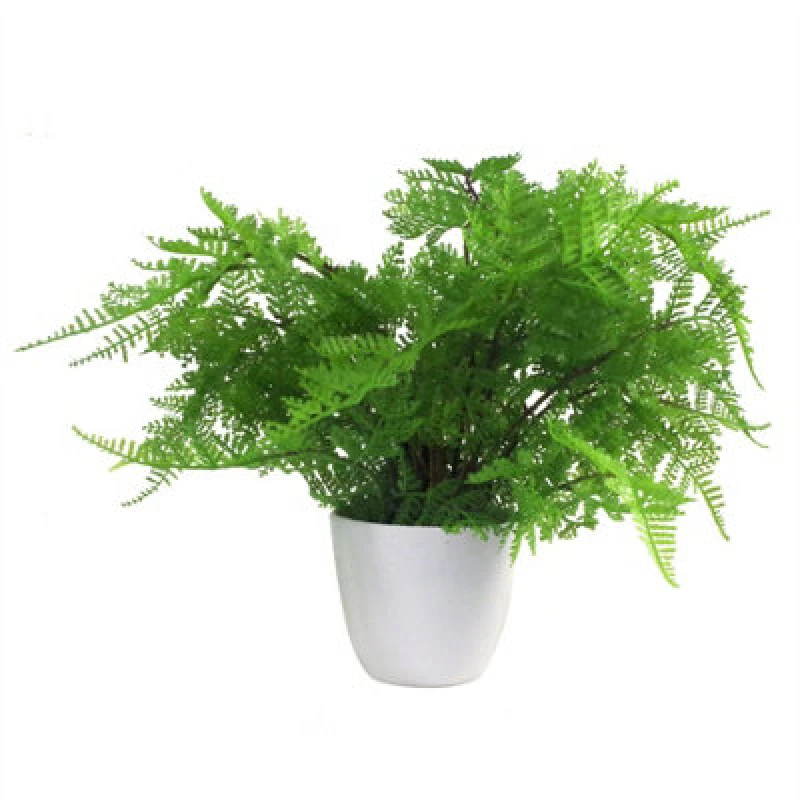 Image of Leaf 30cm Artificial Potted Lady Fern (Athyrium Filix-Femina) Green unisex