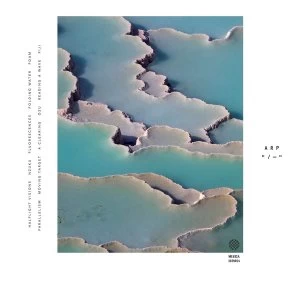 Image of Arp - Zebra Vinyl