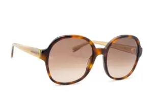 Image of Tommy Hilfiger TH 1812/S 05L HA 55