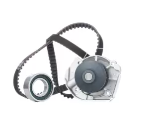 Image of DOLZ Water Pump + Timing Belt Kit Teeth Quant.: 125 KD091 FIAT,LANCIA,PANDA (169),Seicento / 600 Schragheck (187_),Panda Schragheck (141_)