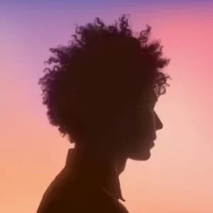 Image of Teme Tan by Teme Tan Vinyl Album