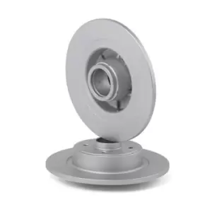 Image of RIDEX Brake disc 82B0095 Brake rotor,Brake discs RENAULT,Scenic I (JA0/1_, FA0_),MEGANE Scenic (JA0/1_),MEGANE I Grandtour (KA0/1_)