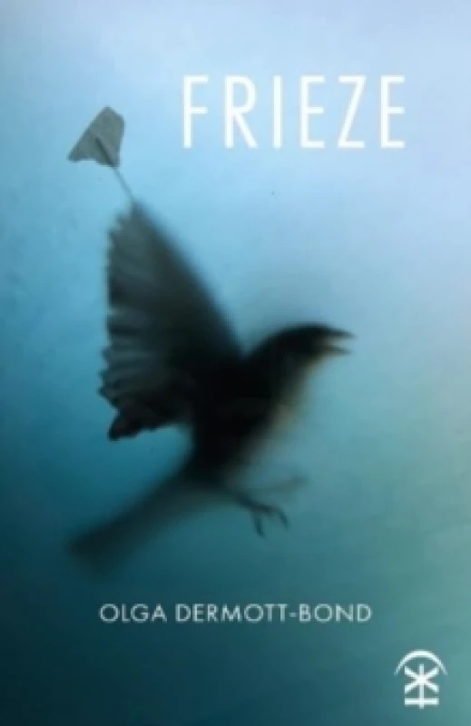 Image of Frieze Paperback / softback
