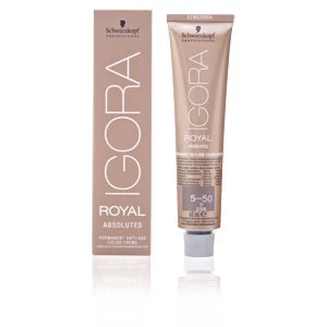 Image of IGORA ROYAL ABSOLUTES 5-50 60ml