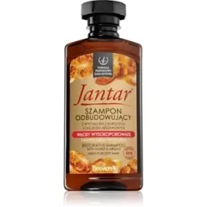 Image of Farmona Jantar High Porosity Hair Nourishing Shampoo for Shiny and Soft Hair 330ml