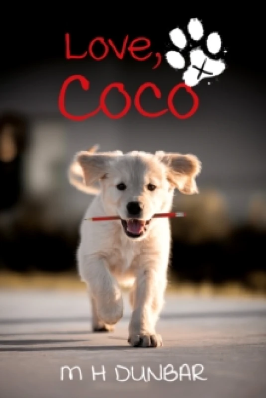 Image of Love, Coco x Paperback / softback