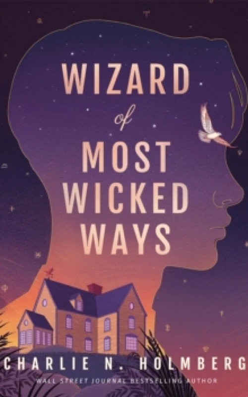 Image of Wizard of Most Wicked Ways Paperback / softback