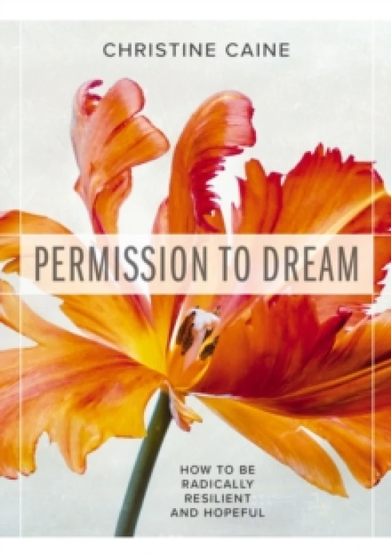 Image of Permission to Dream : How to be Radically Resilient and Hopeful Paperback / softback