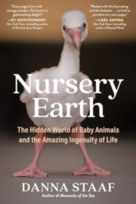 Image of Nursery Earth : The Hidden World of Baby Animals and the Amazing Ingenuity of Life Paperback / softback