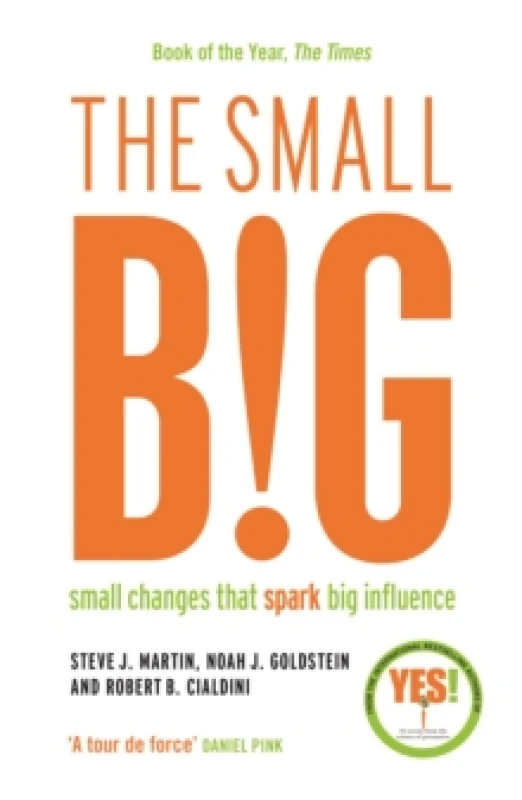 Image of The small BIG : Small Changes that Spark Big Influence Paperback / softback