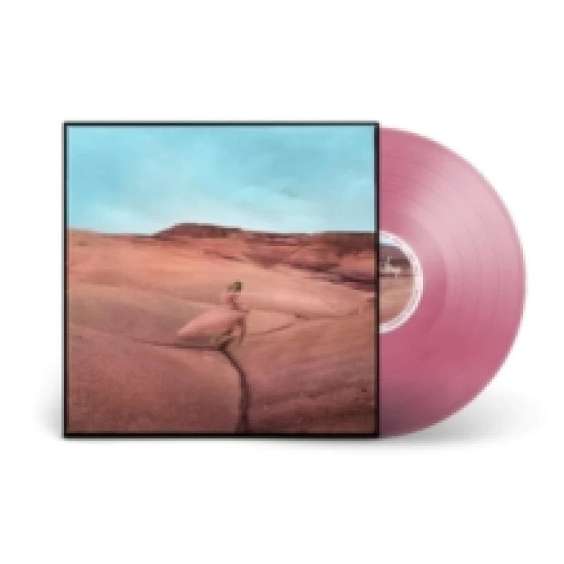 Image of Strays Vinyl