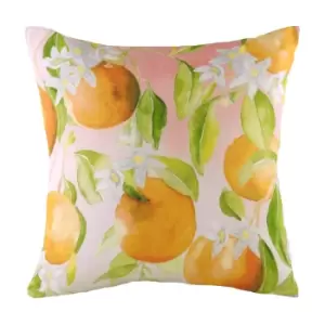 Image of Evans Lichfield Fruit Oranges Cushion Cover (43cm x 43cm) (Multicoloured)