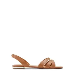 Image of Aldo Marassi Flat Sandals - Brown